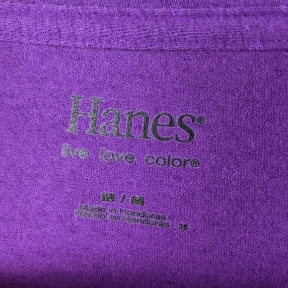 Hanes Purple Long sleeve V-neck Tee Shirt Top Women's Medium - Picture 3 of 4